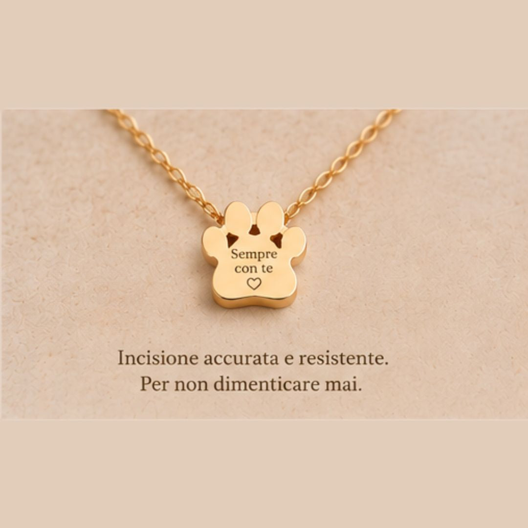 ZAMPA CHE PARLA